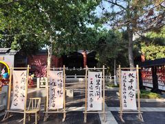 -青岛方特梦幻王国