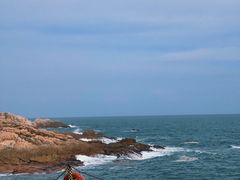 -广东惠东海龟国家级自然保护区