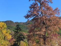 -塔川景区