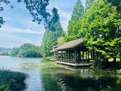 -茅家埠