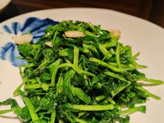 清炒豌豆尖-东莱海上(长宁来福士店)