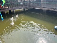 -菜根香土菜馆(文昌东路店)