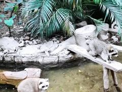 -长鹿旅游休博园