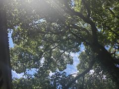 -普陀山雷迪森庄园