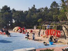 -铁山坪森林公园