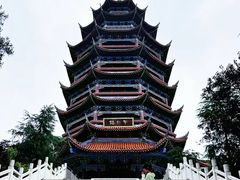 -铁山坪森林公园