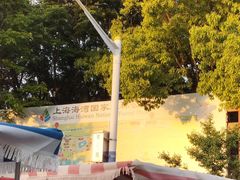 -上海海湾国家森林公园