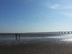 android_upload_pic-南汇嘴观海公园