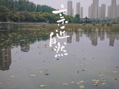 -前关湿地公园