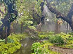 -Chom Cafe and Restaurant