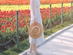 -大宁郁金香公园-停车场