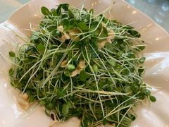 香椿苗拌桃仁-玉林烤鸭店(定福庄店)