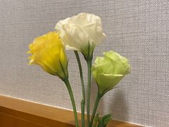 -小厨子私房菜·云南美食店
