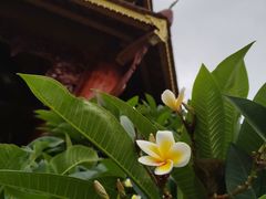 -西双版纳总佛寺