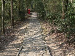 -上海佘山国家森林公园天马山园