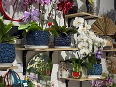 -FEI FEI FLOWER鲜花店·气球派对·宝宝宴布置(虹口德必运动Loft店)