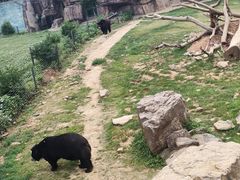 -无锡动物园·太湖欢乐园