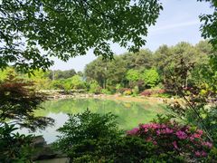 -铁山坪森林公园