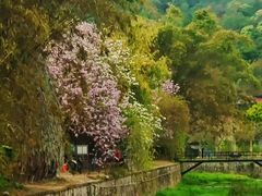 -红山村