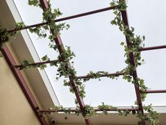 -LANN I 蘭·泰式古法按摩(长宁来福士东八区店)
