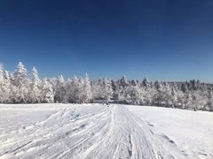 -亚布力新体委滑雪场