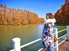 -上海海湾国家森林公园