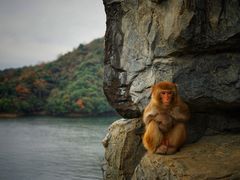 -黄山太平湖风景区
