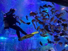 -沈阳海洋探索中心