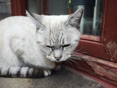 -李叔同故居纪念馆