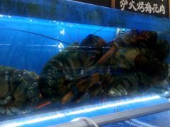 -船梆煮•蒸汽海鲜·炉火烤肉(五四广场店)