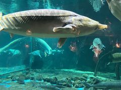 -华夏文旅海洋公园