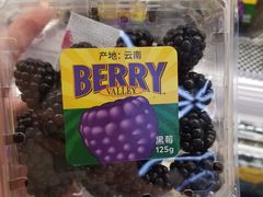 -盒马鲜生(莱蒙都会店)