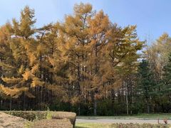 -黑龙江省森林植物园