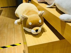 -九木杂物社(大族广场店)