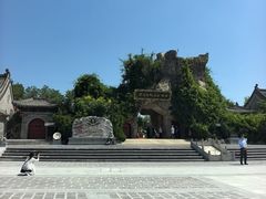 -大槐树寻根祭祖园