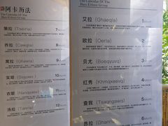 -西双版纳原始森林公园