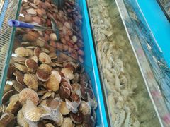 -港畔赶海蒸汽海鲜烧烤自助(仙螺岛店)