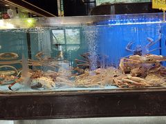 -阿伟海鲜楼·福建菜(延寿店)