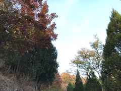 -白水寺森林公园