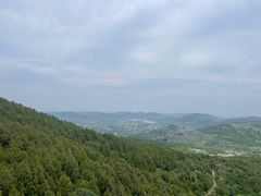 -抱犊崮国家森林公园