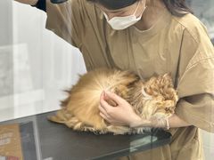-爱洗澡的猫(天河路店)