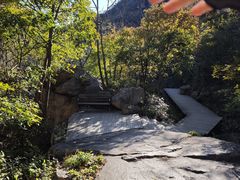 -大岭沟猕猴桃谷风景区