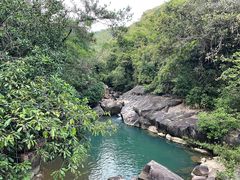 -广州白江湖森林公园