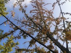 -永定河休闲森林公园