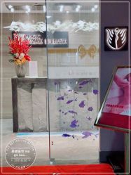 -美健盛世·美容SPA连锁