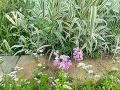 -济南国际园博园