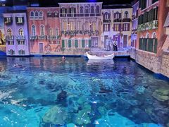 -华夏文旅海洋公园