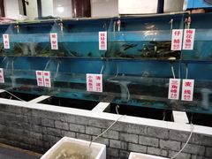 水产区-高坎一品甲鱼庄(两河店)
