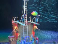 -广州长隆国际大马戏