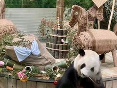 -灵玲国际马戏城